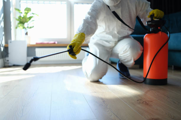 Affordable Biohazard Cleanup solutions in Hecker, IL